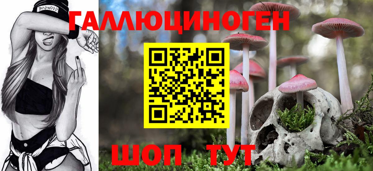 Галлюциногенные грибы GOLDEN TEACHER  Вход с VPN  Кушва 